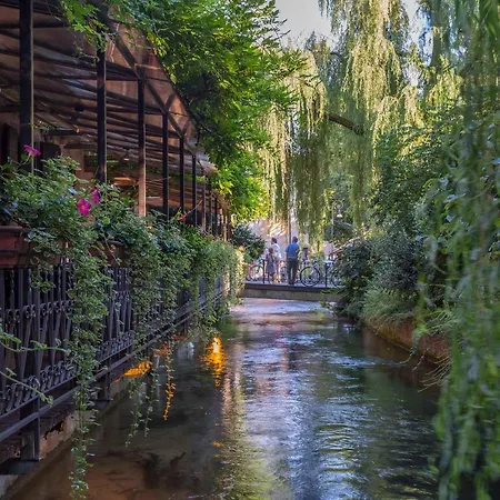 Centre Stylish Apartament *